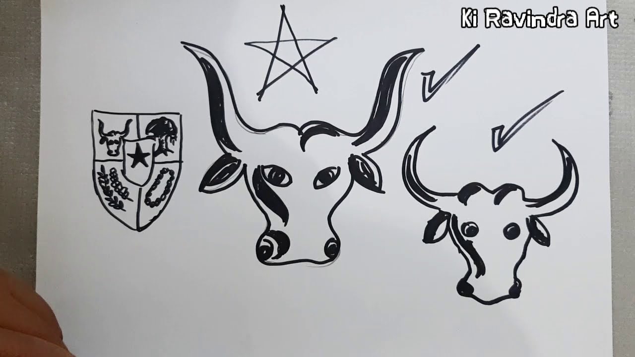 Detail Cara Menggambar Kepala Banteng Nomer 6