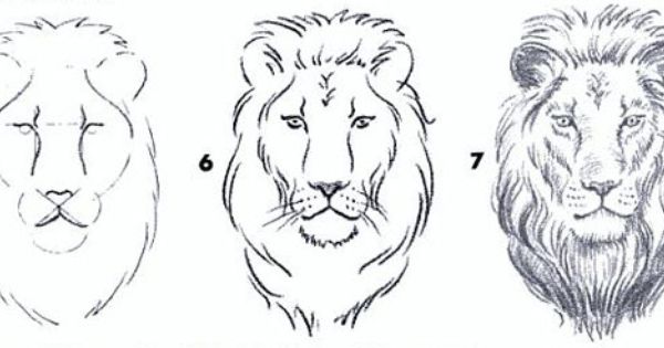 Detail Cara Menggambar Kepala Harimau Nomer 22