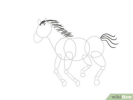 Detail Cara Menggambar Kuda Nomer 10