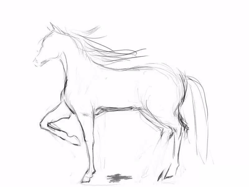 Detail Cara Menggambar Kuda Nomer 21