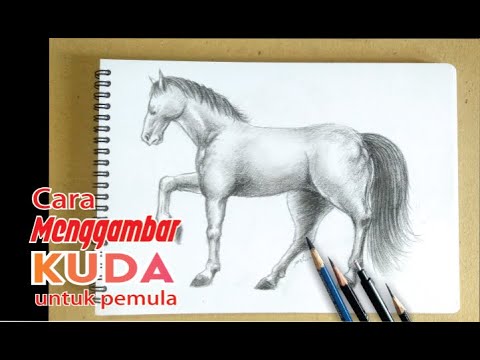 Detail Cara Menggambar Kuda Nomer 9