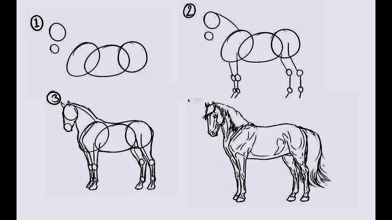 Cara Menggambar Kuda Dengan Mudah - KibrisPDR