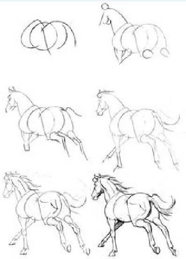 Detail Cara Menggambar Kuda Dengan Mudah Nomer 31