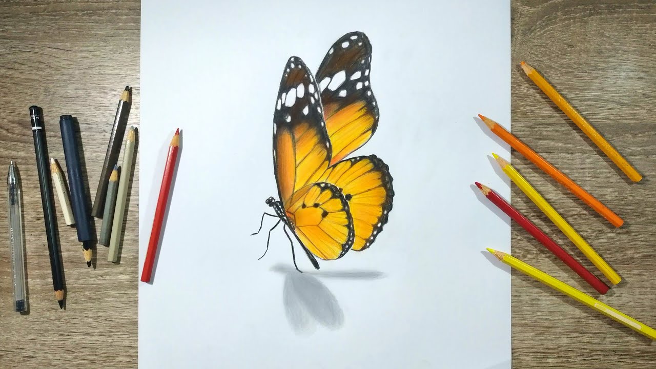 Detail Cara Menggambar Kupu Kupu 3d Nomer 10