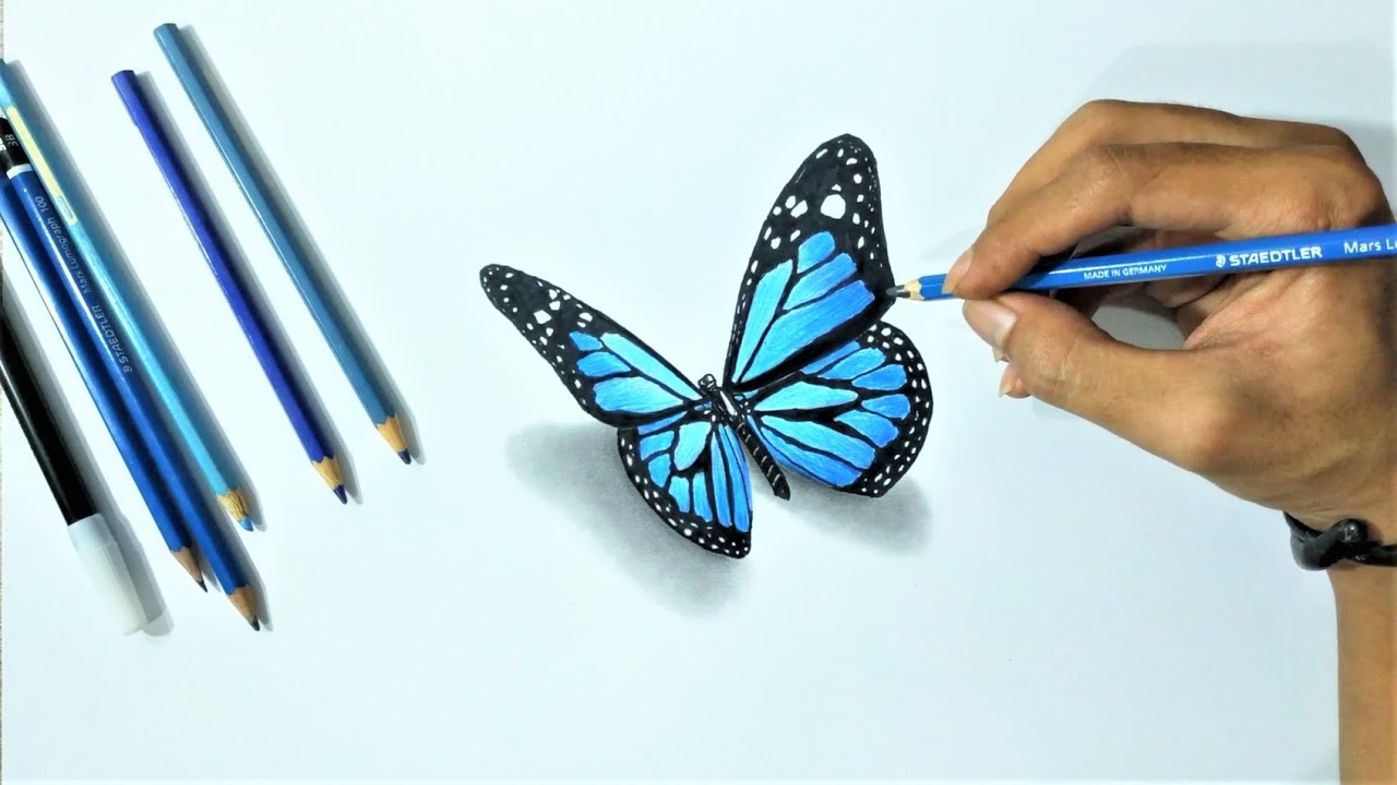 Detail Cara Menggambar Kupu Kupu 3d Nomer 12