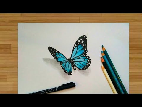 Detail Cara Menggambar Kupu Kupu 3d Nomer 3