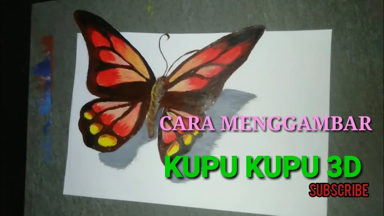 Detail Cara Menggambar Kupu Kupu 3d Nomer 24