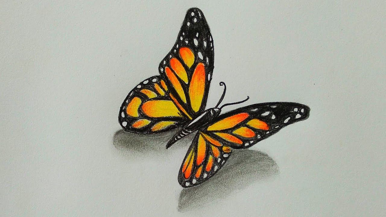 Detail Cara Menggambar Kupu Kupu 3d Nomer 4
