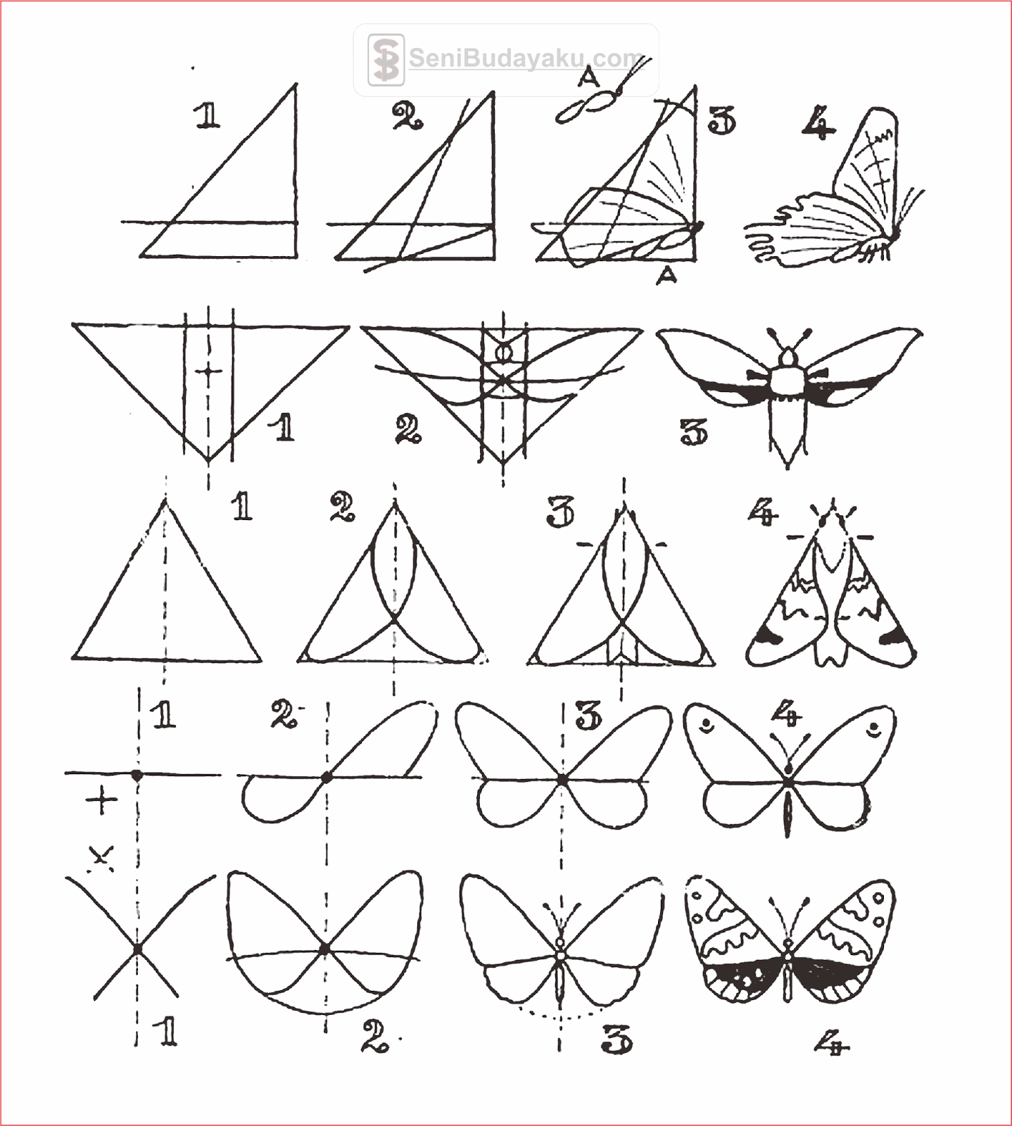 Detail Cara Menggambar Kupu Kupu Langkah Demi Langkah Nomer 29