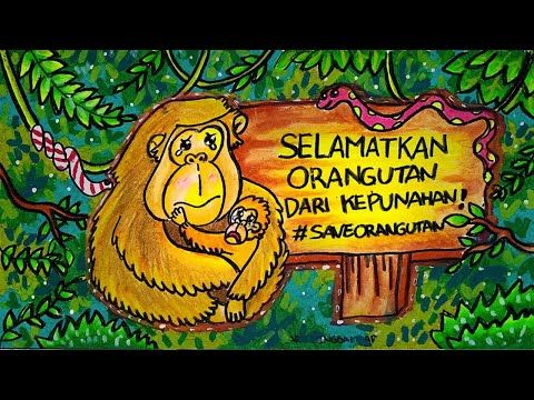 Detail Cara Menggambar Orang Utan Nomer 15