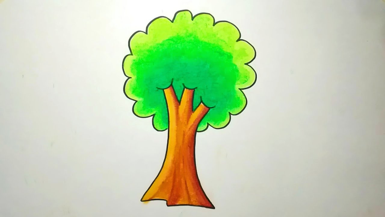 Cara Menggambar Pohon - KibrisPDR