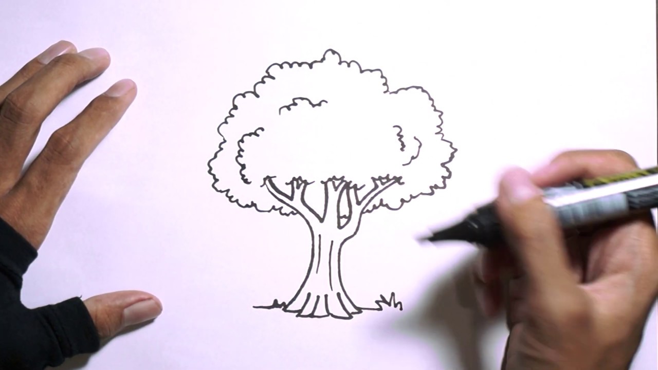 Detail Cara Menggambar Pohon Nomer 10