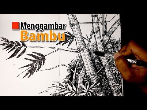 Detail Cara Menggambar Pohon Bambu Nomer 9