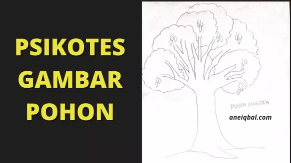 Detail Cara Menggambar Pohon Beringin Nomer 24