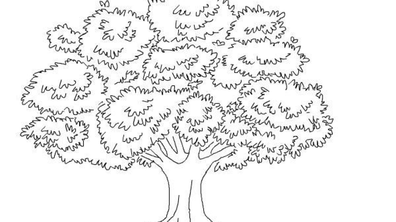 Detail Cara Menggambar Pohon Jeruk Nomer 39