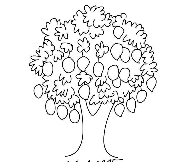 Detail Cara Menggambar Pohon Jeruk Nomer 47