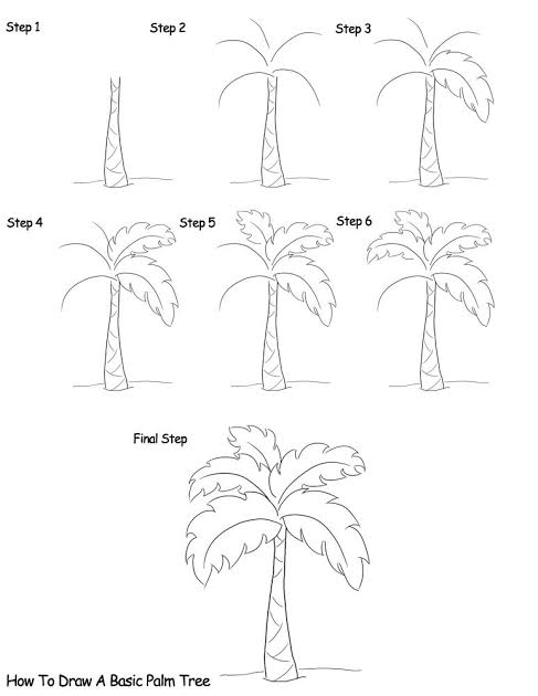 Detail Cara Menggambar Pohon Kelapa Nomer 14