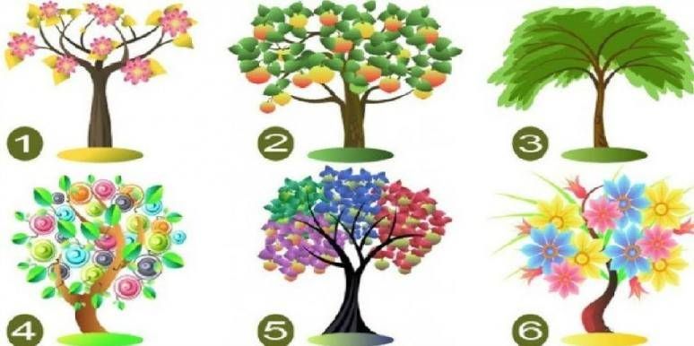 Detail Cara Menggambar Pohon Literasi Nomer 47
