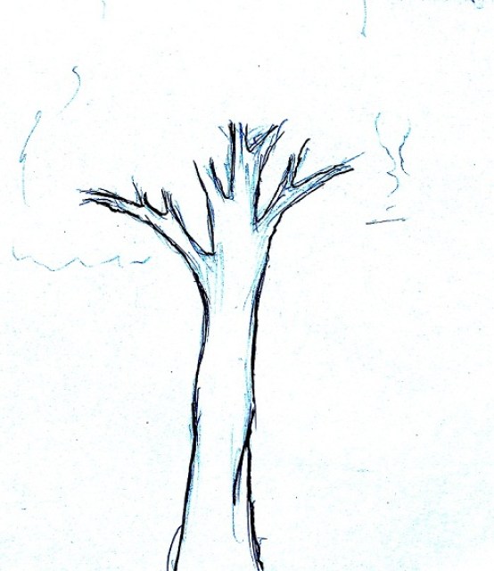 Detail Cara Menggambar Pohon Yang Bagus Nomer 32