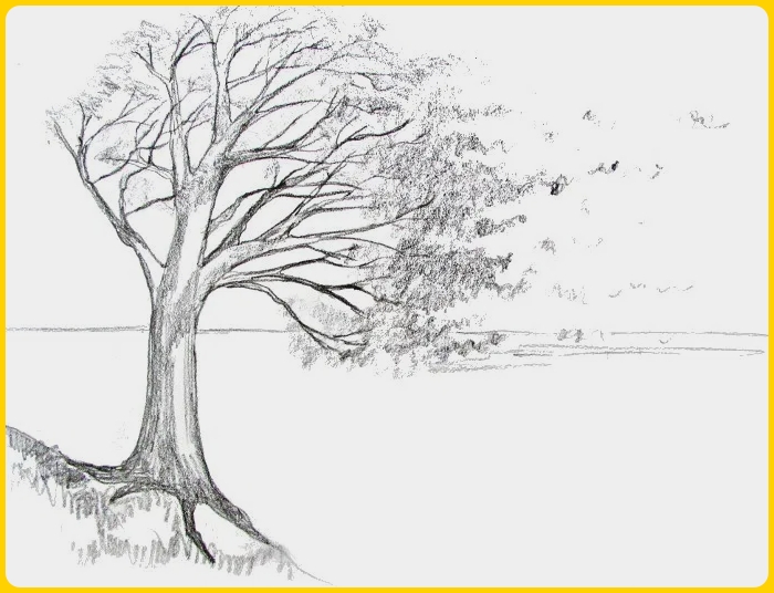 Detail Cara Menggambar Pohon Yang Bagus Nomer 35