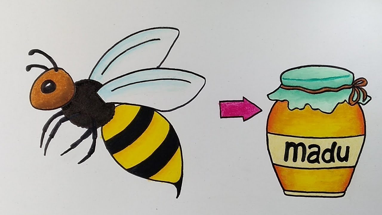 Detail Cara Menggambar Sarang Lebah Nomer 9