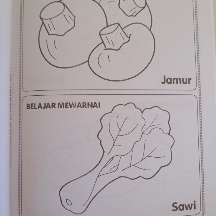 Detail Cara Menggambar Sayur Sawi Nomer 12