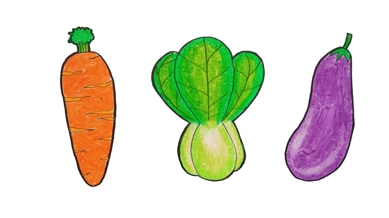 Detail Cara Menggambar Sayur Sayuran Nomer 3