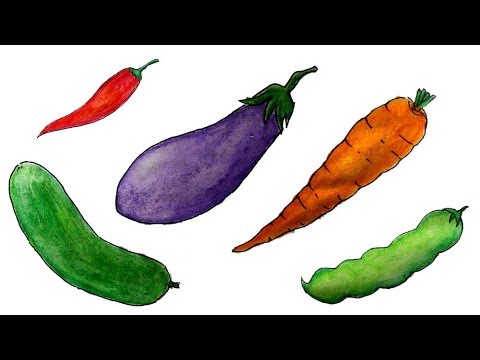 Detail Cara Menggambar Sayur Sayuran Nomer 6