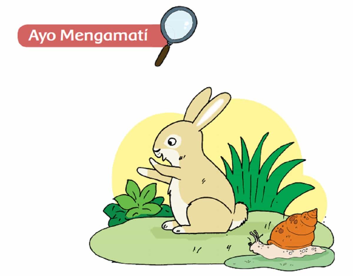 Detail Cara Menggambar Siput Bukanlah Hewan Lemah Nomer 25