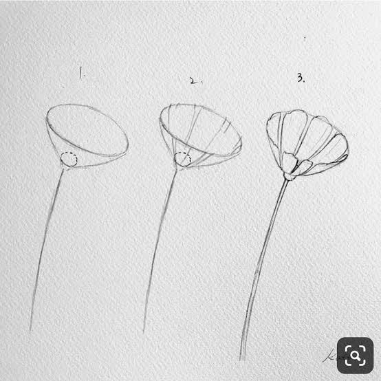 Detail Cara Menggambar Sketsa Bunga Nomer 48
