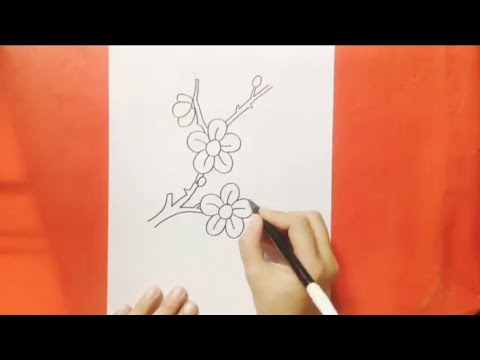Detail Cara Menggambar Sketsa Bunga Sakura Nomer 15