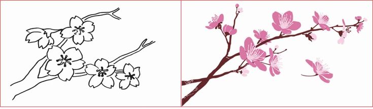Detail Cara Menggambar Sketsa Bunga Sakura Nomer 16