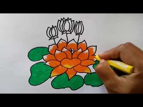 Detail Cara Menggambar Sketsa Bunga Teratai Nomer 30