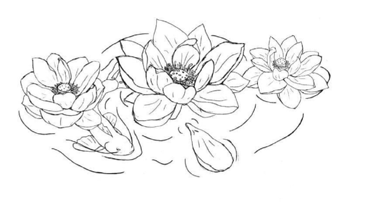 Detail Cara Menggambar Sketsa Bunga Teratai Nomer 31