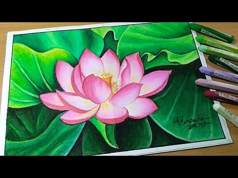 Detail Cara Menggambar Sketsa Bunga Teratai Nomer 33