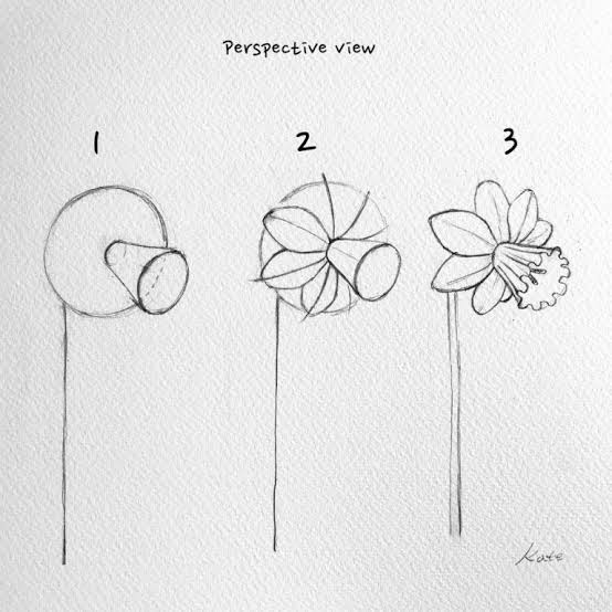 Detail Cara Menggambar Sketsa Bunga Tulip Nomer 48