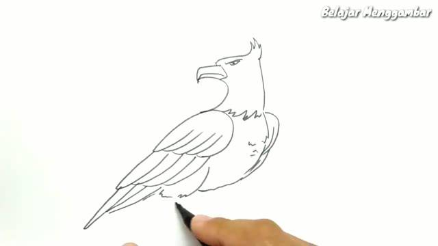 Detail Cara Menggambar Sketsa Hewan Nomer 42