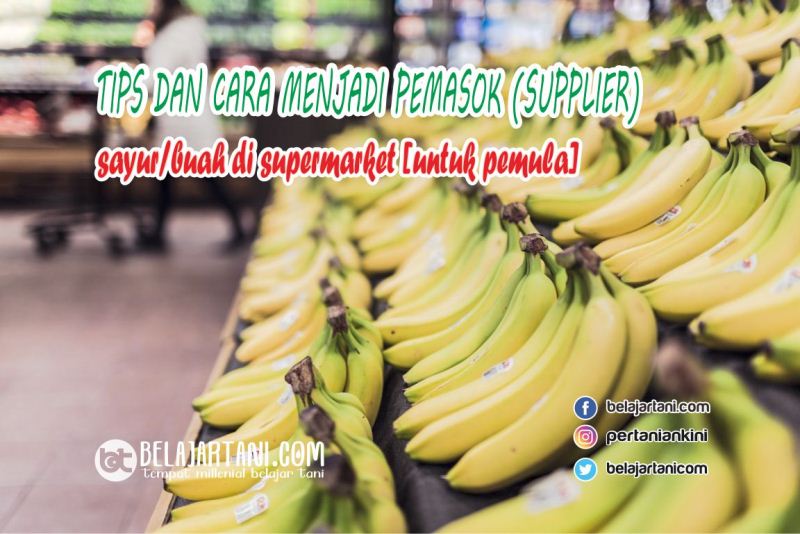 Detail Cara Menggambar Supermarket Nomer 35