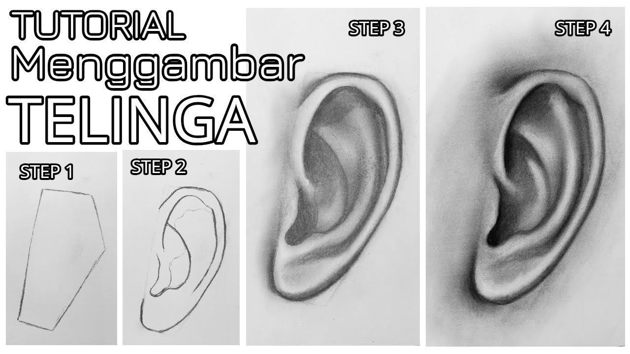 Detail Cara Menggambar Telinga Nomer 2