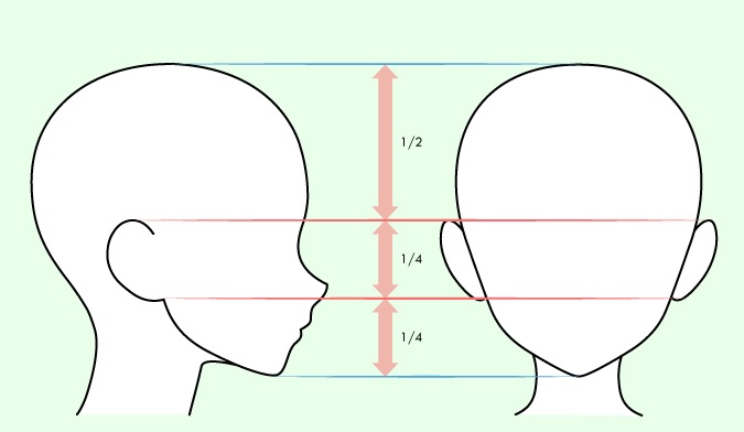 Detail Cara Menggambar Telinga Nomer 24