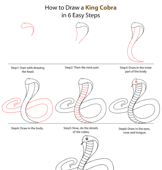 Detail Cara Menggambar Ular Dengan Mudah Nomer 5