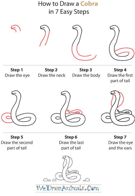 Detail Cara Menggambar Ular Kobra Nomer 9