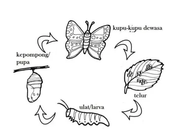 Detail Cara Menggambar Ulat Nomer 28