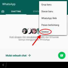 Detail Cara Mengganti Tema Whatsapp Dengan Foto Sendiri Nomer 11