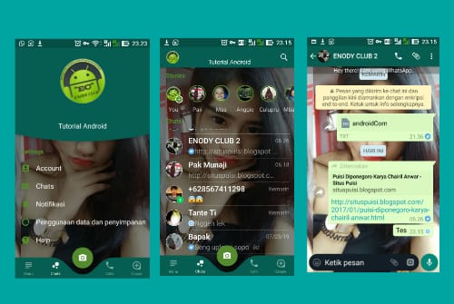 Detail Cara Mengganti Tema Whatsapp Dengan Foto Sendiri Nomer 12