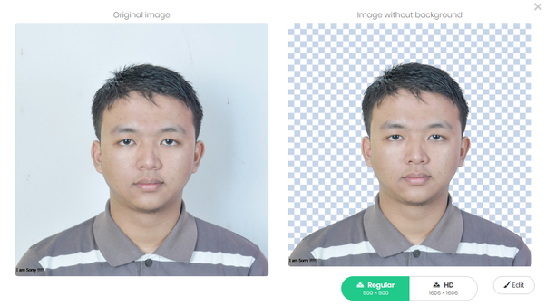 Detail Cara Menghapus Background Foto Di Photoshop Nomer 31