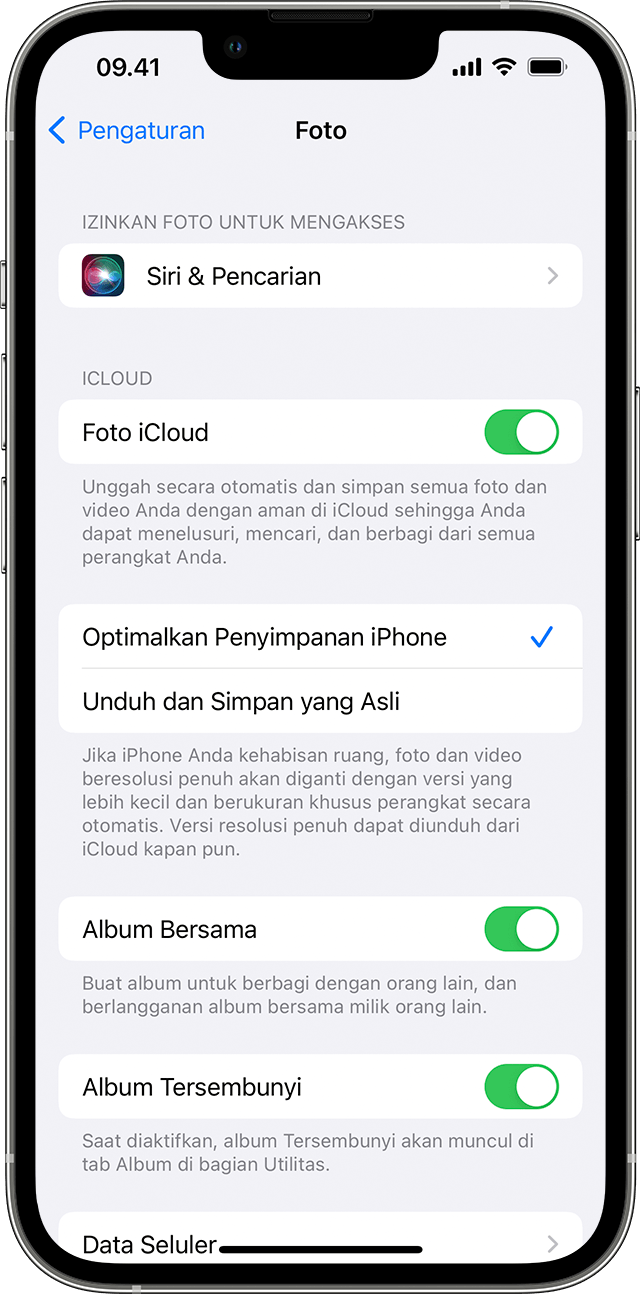 Detail Cara Menghapus Foto Di Iphone Secara Permanen Nomer 22