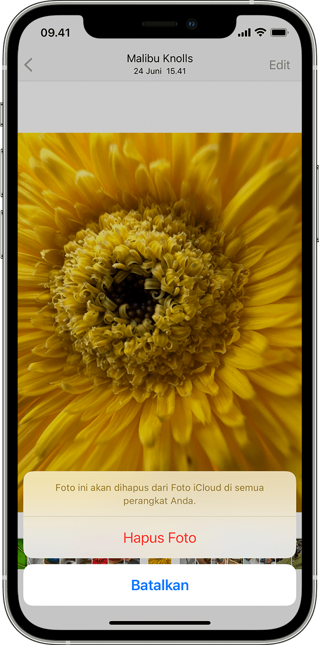 Detail Cara Menghapus Foto Di Iphone Secara Permanen Nomer 10