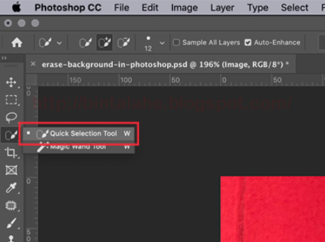 Detail Cara Menghilangkan Background Foto Di Photoshop Nomer 47