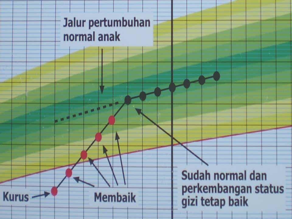 Detail Cara Mengisi Buku Kia Nomer 32